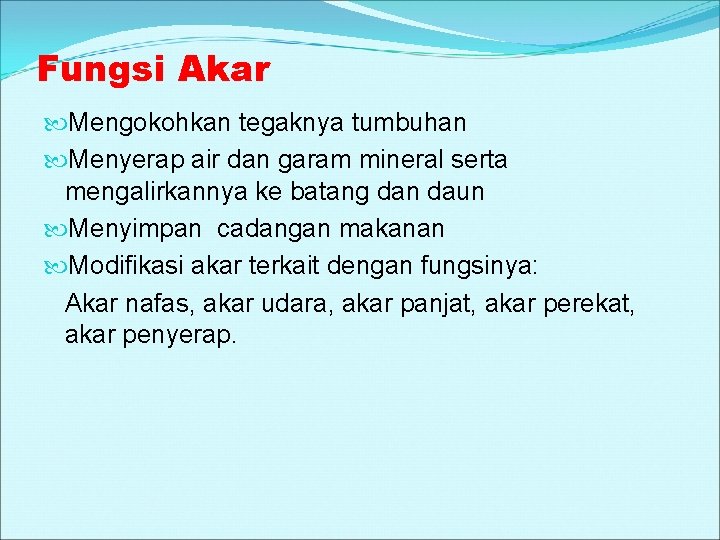 Fungsi Akar Mengokohkan tegaknya tumbuhan Menyerap air dan garam mineral serta mengalirkannya ke batang