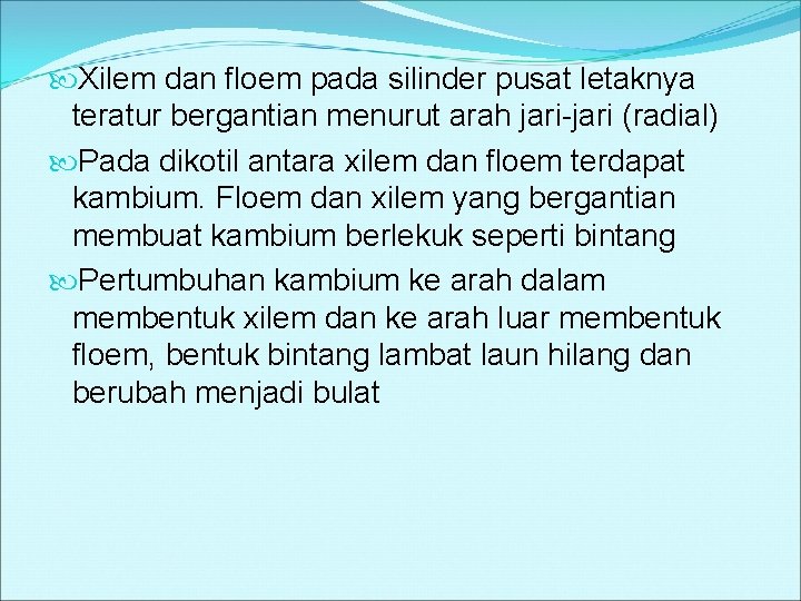  Xilem dan floem pada silinder pusat letaknya teratur bergantian menurut arah jari-jari (radial)