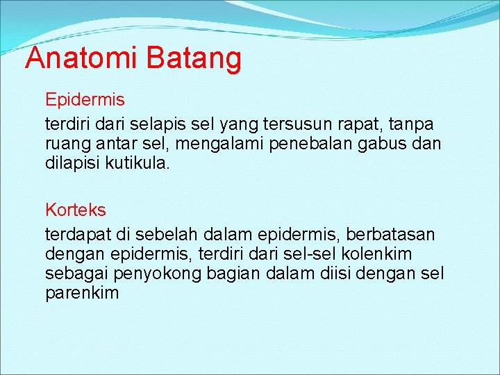 Anatomi Batang Epidermis terdiri dari selapis sel yang tersusun rapat, tanpa ruang antar sel,