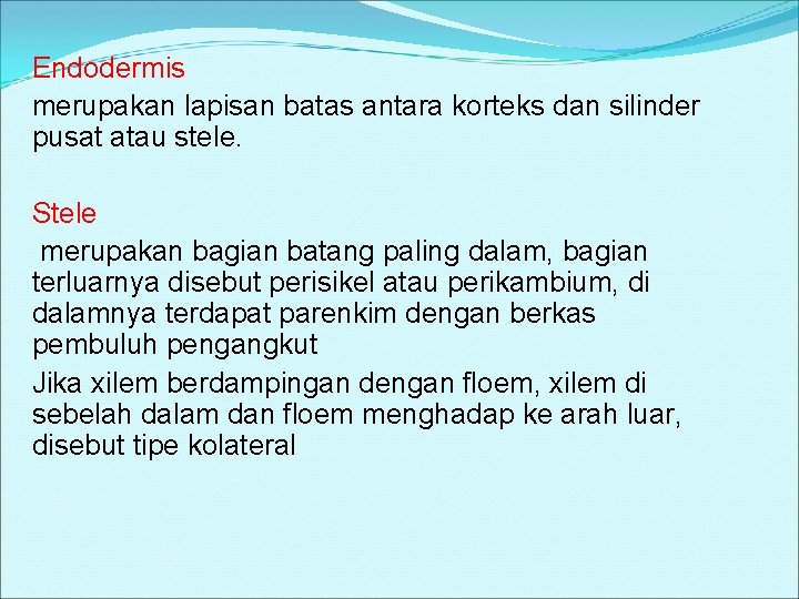 Endodermis merupakan lapisan batas antara korteks dan silinder pusat atau stele. Stele merupakan bagian