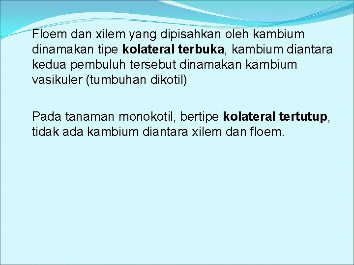 Floem dan xilem yang dipisahkan oleh kambium dinamakan tipe kolateral terbuka, kambium diantara kedua