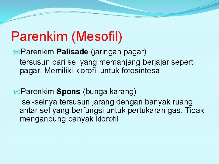 Parenkim (Mesofil) Parenkim Palisade (jaringan pagar) tersusun dari sel yang memanjang berjajar seperti pagar.