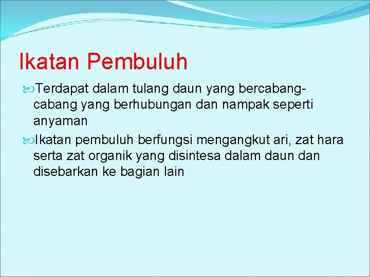 Ikatan Pembuluh Terdapat dalam tulang daun yang bercabang yang berhubungan dan nampak seperti anyaman