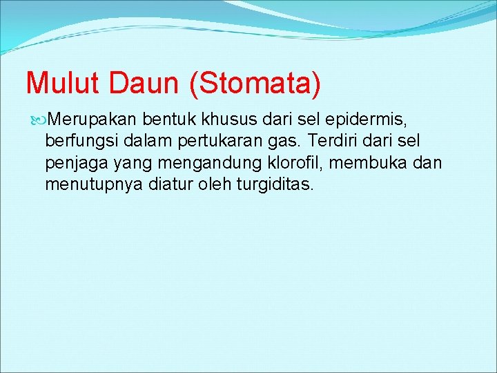 Mulut Daun (Stomata) Merupakan bentuk khusus dari sel epidermis, berfungsi dalam pertukaran gas. Terdiri