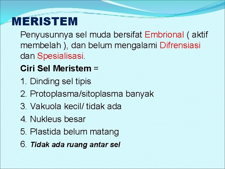MERISTEM Penyusunnya sel muda bersifat Embrional ( aktif membelah ), dan belum mengalami Difrensiasi MERISTEM Penyusunnya sel muda bersifat Embrional ( aktif membelah ), dan belum mengalami Difrensiasi