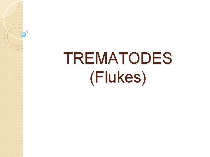 TREMATODES (Flukes) 