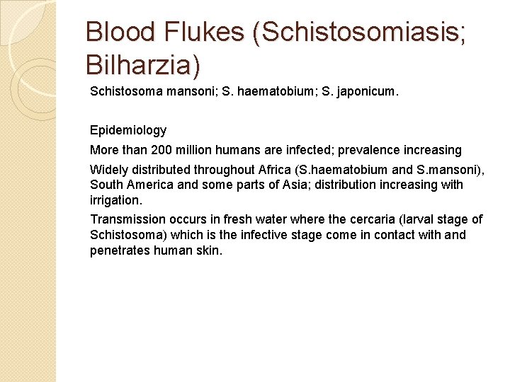 Blood Flukes (Schistosomiasis; Bilharzia) Schistosoma mansoni; S. haematobium; S. japonicum. Epidemiology More than 200