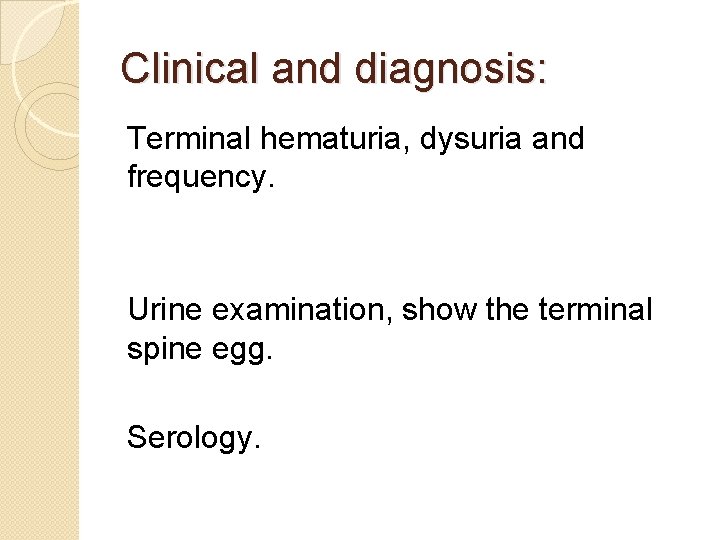 Clinical and diagnosis: Terminal hematuria, dysuria and frequency. Urine examination, show the terminal spine