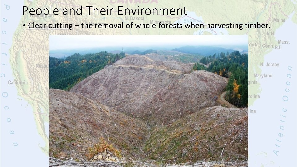 People and Their Environment • Clear cutting – the removal of whole forests when