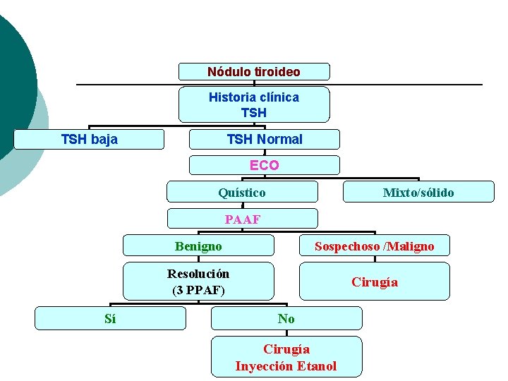 Nódulo tiroideo Historia clínica TSH baja TSH Normal ECO Quístico Mixto/sólido PAAF Sí Benigno