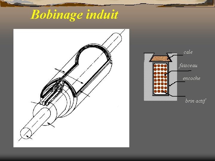 Bobinage induit cale faisceau encoche brin actif 