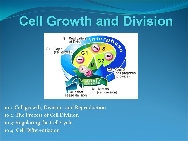 Cell Growth and Division 10. 1: Cell growth, Division, and Reproduction 10. 2: The