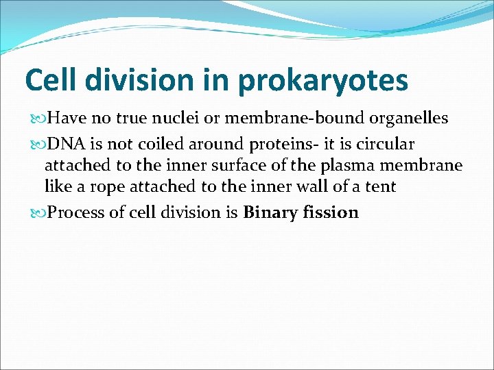 Cell division in prokaryotes Have no true nuclei or membrane-bound organelles DNA is not