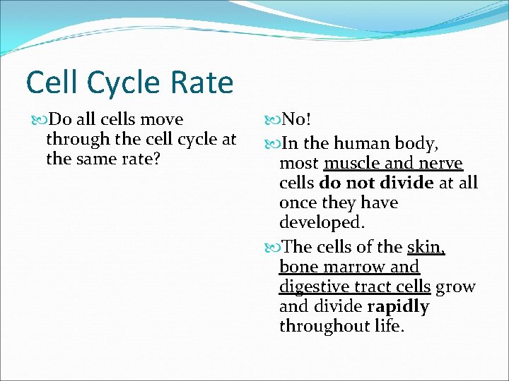 Cell Cycle Rate Do all cells move through the cell cycle at the same