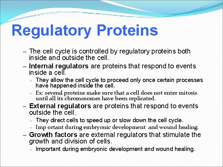 Regulatory Proteins – The cell cycle is controlled by regulatory proteins both inside and