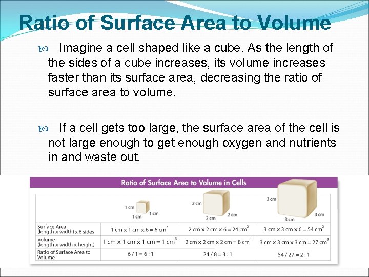 Ratio of Surface Area to Volume Imagine a cell shaped like a cube. As