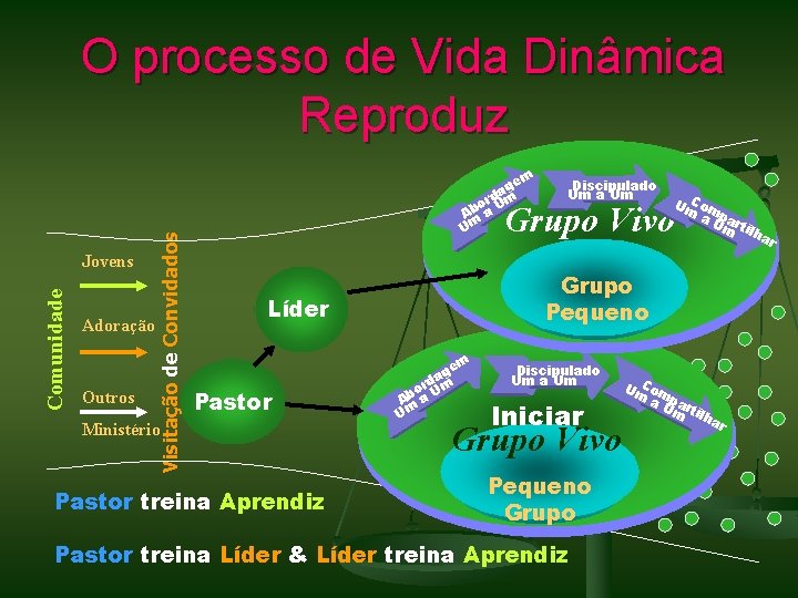 Comunidade Jovens Adoração Outros Visitação de Convidados O processo de Vida Dinâmica Reproduz m