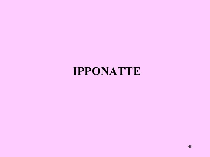 IPPONATTE 40 