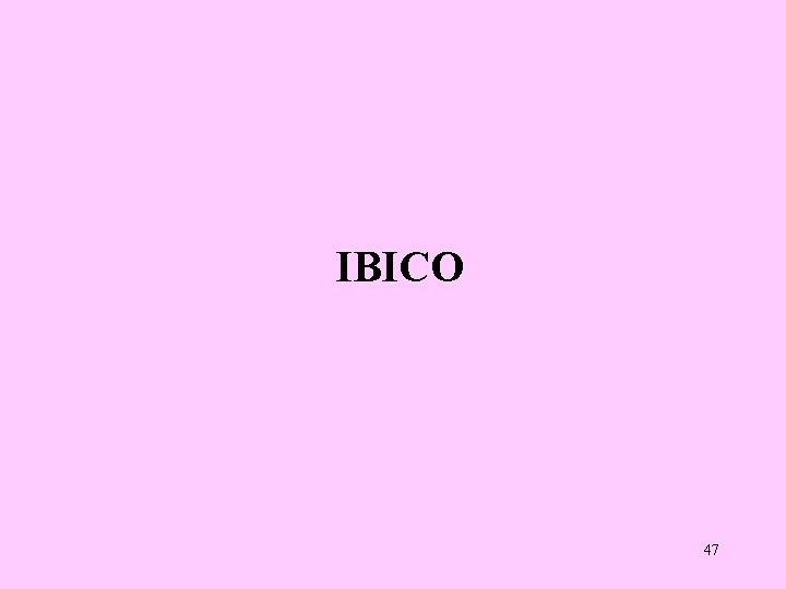 IBICO 47 
