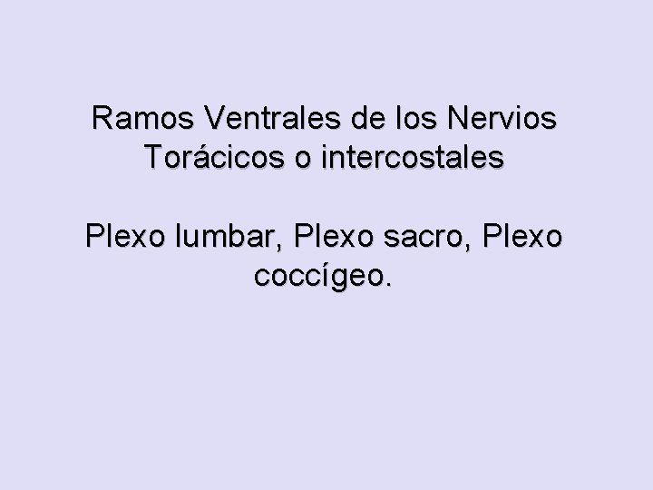 Ramos Ventrales de los Nervios Torácicos o intercostales Plexo lumbar, Plexo sacro, Plexo coccígeo.