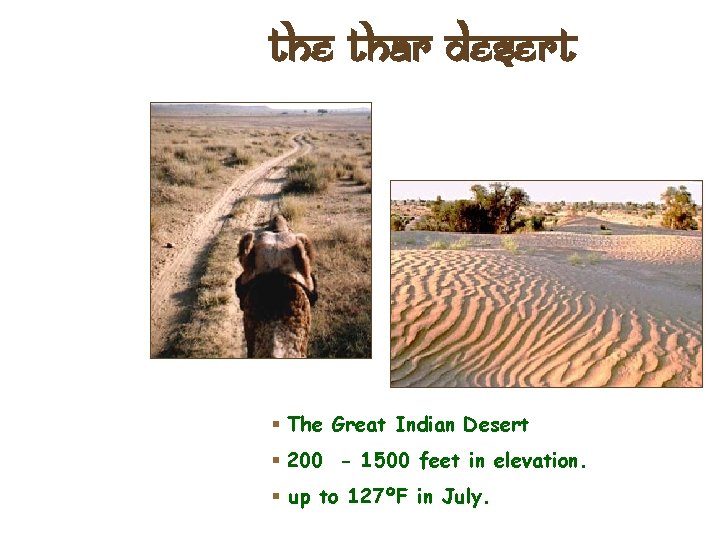 The Thar Desert § The Great Indian Desert § 200 - 1500 feet in