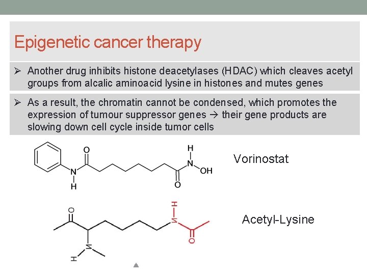 Epigenetic cancer therapy Another drug inhibits histone deacetylases (HDAC) which cleaves acetyl groups from