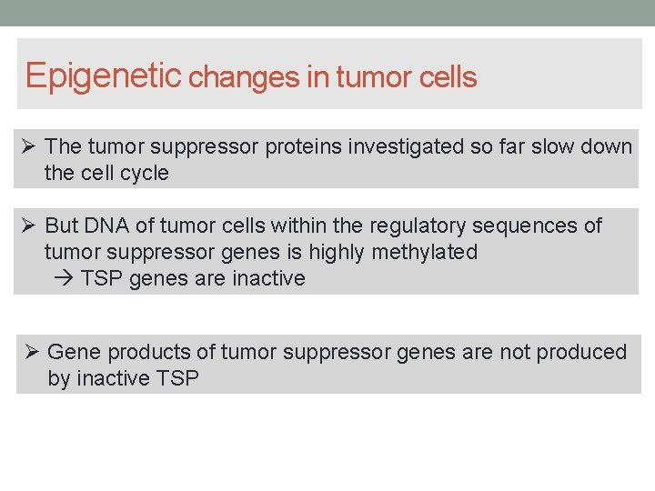 Epigenetic changes in tumor cells The tumor suppressor proteins investigated so far slow down