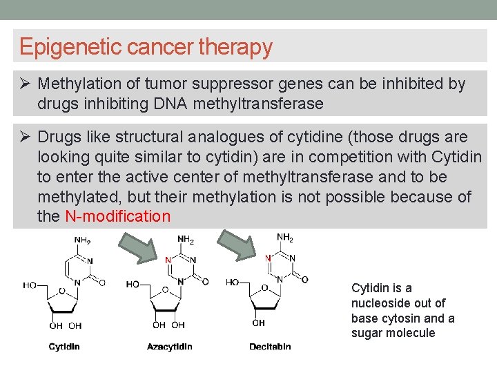 Epigenetic cancer therapy Methylation of tumor suppressor genes can be inhibited by drugs inhibiting