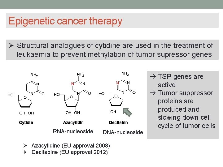 Epigenetic cancer therapy Structural analogues of cytidine are used in the treatment of leukaemia