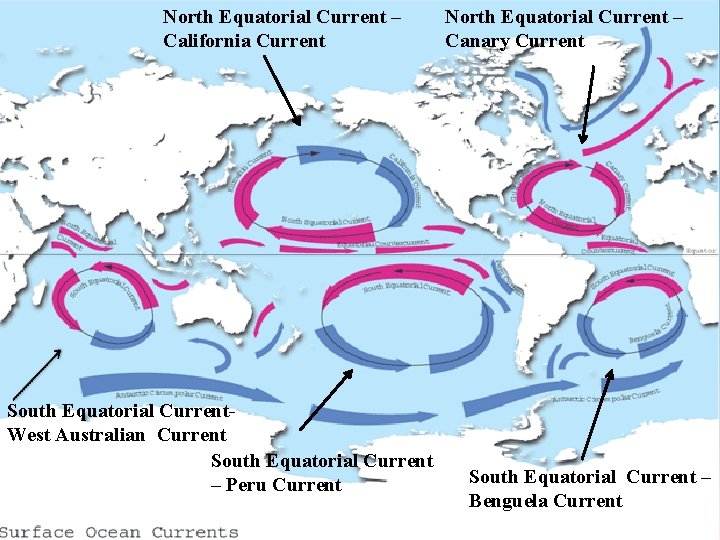 North Equatorial Current – California Current South Equatorial Current. West Australian Current South Equatorial