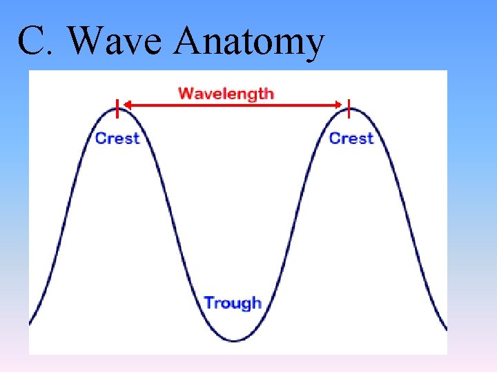 C. Wave Anatomy 