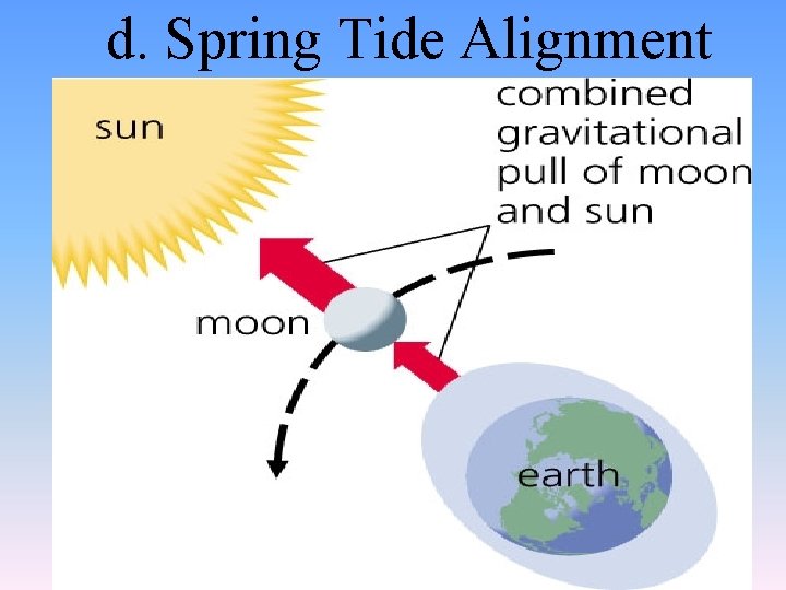 d. Spring Tide Alignment 