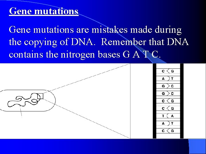 Gene mutations are mistakes made during the copying of DNA. Remember that DNA contains Gene mutations are mistakes made during the copying of DNA. Remember that DNA contains