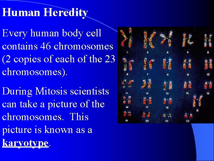 Human Heredity Every human body cell contains 46 chromosomes (2 copies of each of Human Heredity Every human body cell contains 46 chromosomes (2 copies of each of