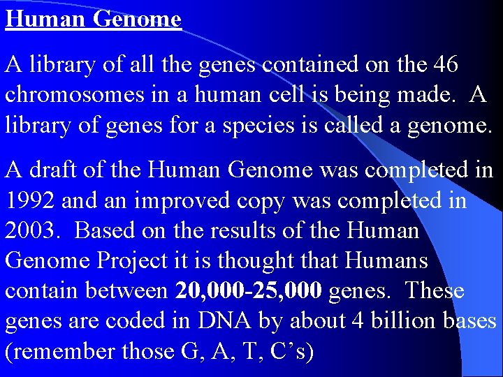 Human Genome A library of all the genes contained on the 46 chromosomes in Human Genome A library of all the genes contained on the 46 chromosomes in