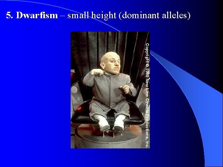 5. Dwarfism – small height (dominant alleles) 5. Dwarfism – small height (dominant alleles)