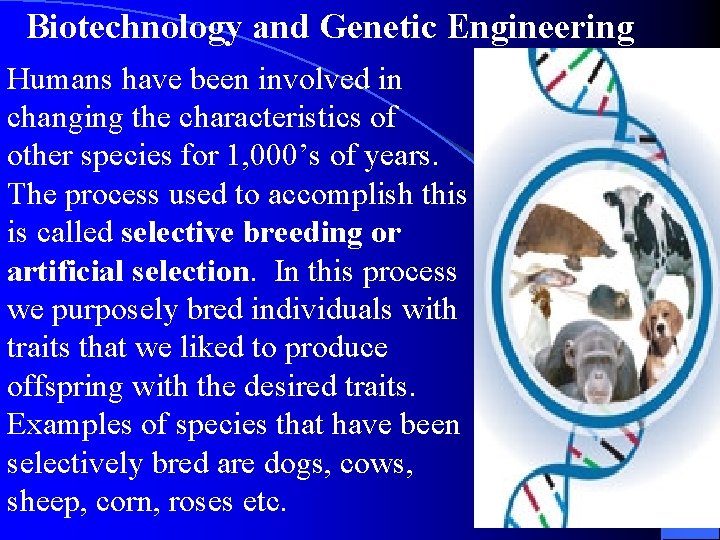 Biotechnology and Genetic Engineering Humans have been involved in changing the characteristics of other Biotechnology and Genetic Engineering Humans have been involved in changing the characteristics of other