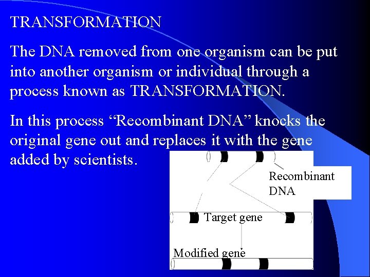TRANSFORMATION The DNA removed from one organism can be put into another organism or TRANSFORMATION The DNA removed from one organism can be put into another organism or
