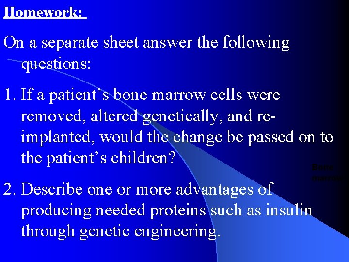 Homework: On a separate sheet answer the following questions: 1. If a patient’s bone Homework: On a separate sheet answer the following questions: 1. If a patient’s bone