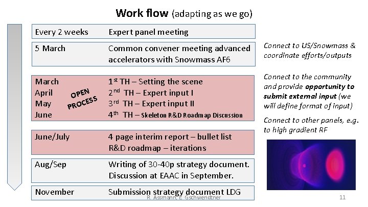 Work flow (adapting as we go) Every 2 weeks Expert panel meeting 5 March