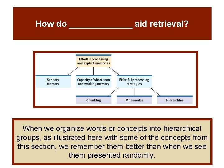How do _______ aid retrieval? When we organize words or concepts into hierarchical groups,