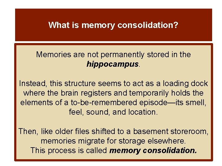 What is memory consolidation? Memories are not permanently stored in the hippocampus. Instead, this