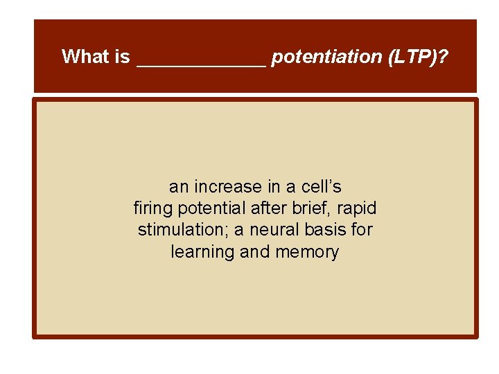 What is ______ potentiation (LTP)? an increase in a cell’s firing potential after brief,