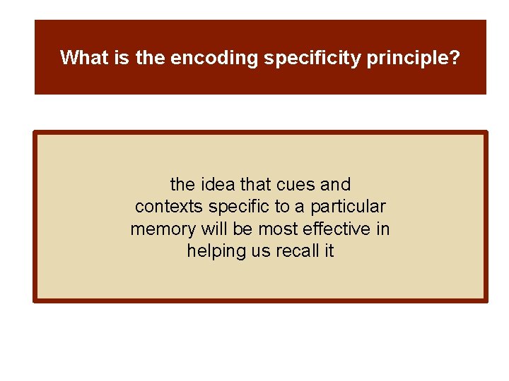 What is the encoding specificity principle? the idea that cues and contexts specific to