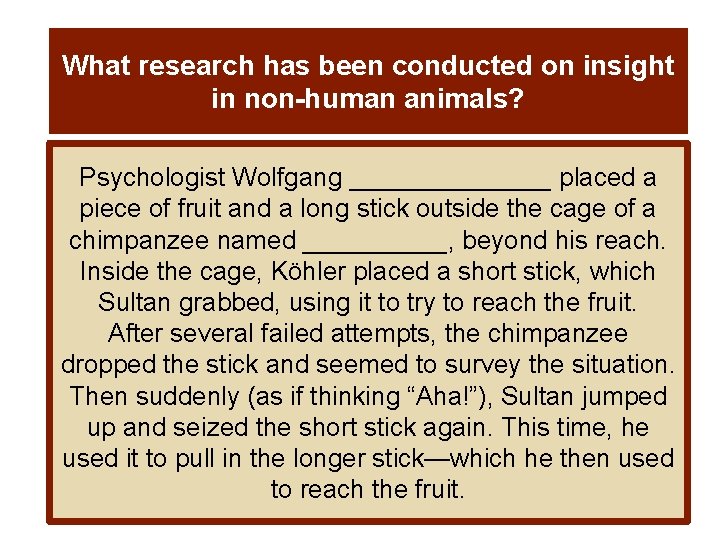 What research has been conducted on insight in non-human animals? Psychologist Wolfgang _______ placed