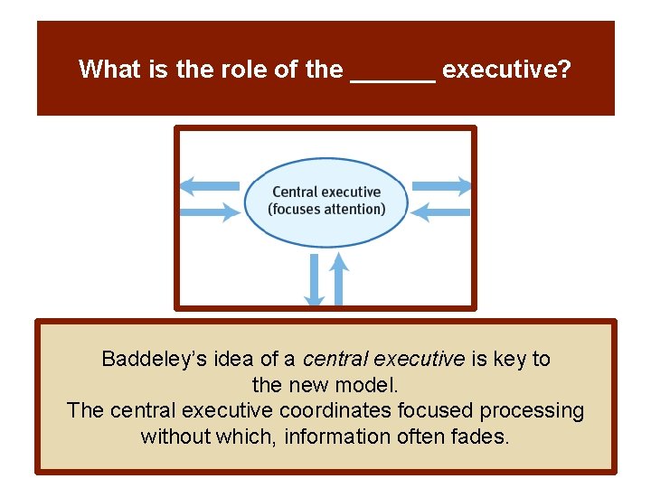 What is the role of the ______ executive? Baddeley’s idea of a central executive