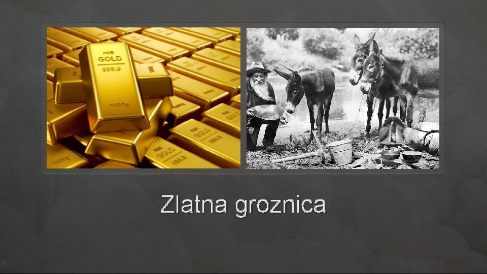 Zlatna groznica 