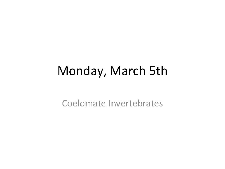 Monday, March 5 th Coelomate Invertebrates 