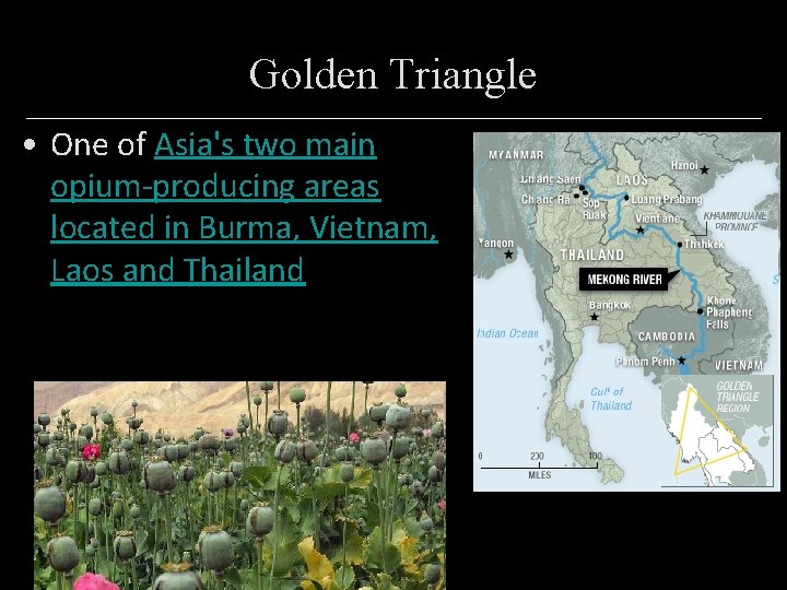 Golden Triangle • One of Asia's two main opium-producing areas located in Burma, Vietnam,
