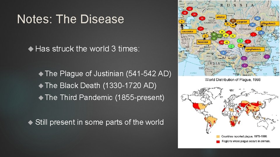 Notes: The Disease Has struck the world 3 times: The Plague of Justinian (541